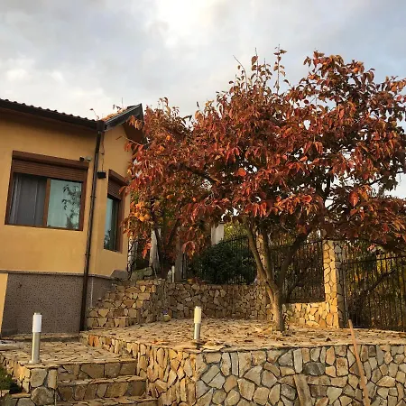 Sunshine Dzhigurovo Vila