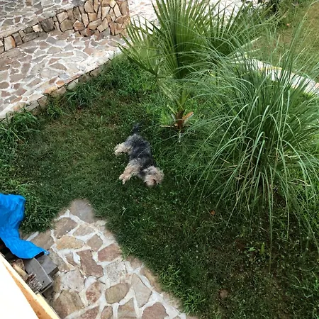 فيلة Sunshine Dzhigurovo *