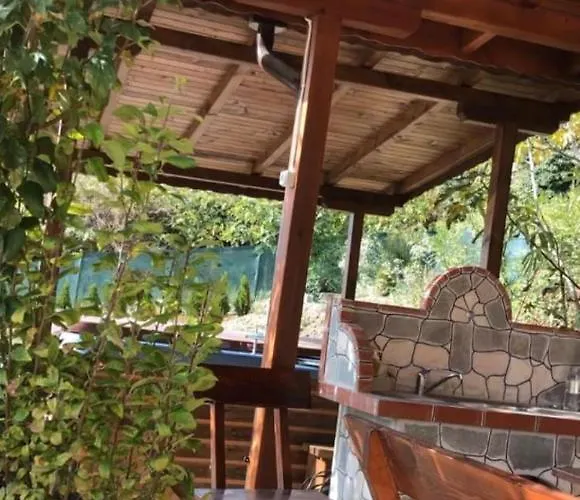 Sunshine Dzhigurovo * Szandanszki