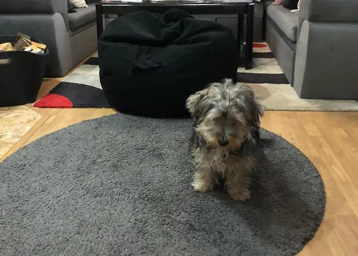 Sunshine Dzhigurovo * Szandanszki